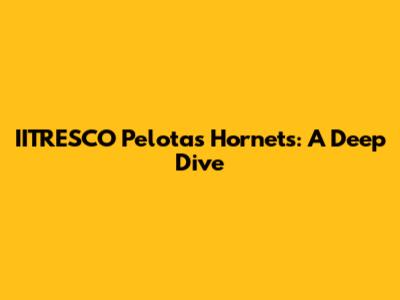 IITRESCO Pelotas Hornets: A Deep Dive