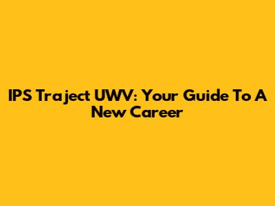 IPS Traject UWV: Your Guide To A New Career