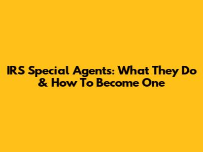IRS Special Agents: What They Do & How To Become One