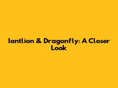Iantlion & Dragonfly: A Closer Look