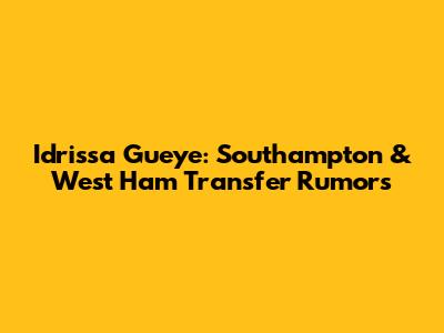 Idrissa Gueye: Southampton & West Ham Transfer Rumors