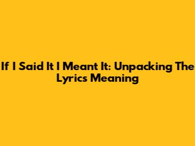 If I Said It I Meant It: Unpacking The Lyrics Meaning