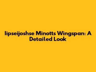 Iipseijoshse Minott's Wingspan: A Detailed Look