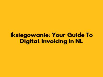 Iksiegowanie: Your Guide To Digital Invoicing In NL