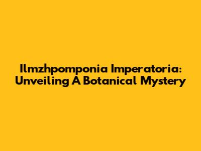Ilmzhpomponia Imperatoria: Unveiling A Botanical Mystery