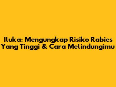 Iluka: Mengungkap Risiko Rabies Yang Tinggi & Cara Melindungimu