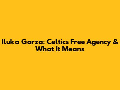 Iluka Garza: Celtics Free Agency & What It Means