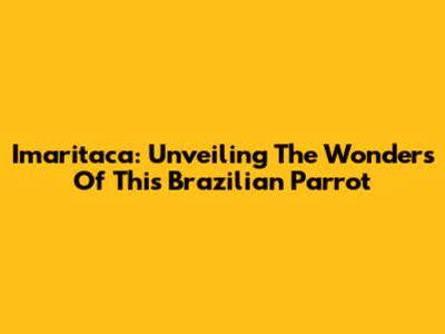 Imaritaca: Unveiling The Wonders Of This Brazilian Parrot