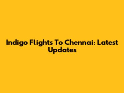 Indigo Flights To Chennai: Latest Updates