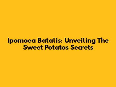 Ipomoea Batalis: Unveiling The Sweet Potato's Secrets