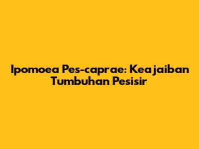 Ipomoea Pes-caprae: Keajaiban Tumbuhan Pesisir
