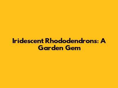 Iridescent Rhododendrons: A Garden Gem