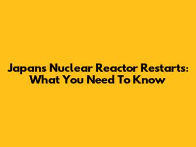 Japan's Nuclear Reactor Restarts: What You Need To Know
