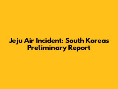 Jeju Air Incident: South Korea's Preliminary Report