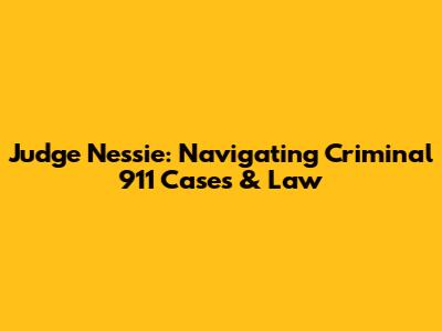 Judge Nessie: Navigating Criminal 911 Cases & Law