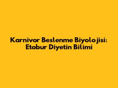 Karnivor Beslenme Biyolojisi: Etobur Diyetin Bilimi