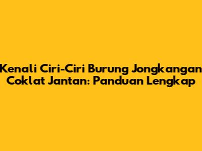 Kenali Ciri-Ciri Burung Jongkangan Coklat Jantan: Panduan Lengkap