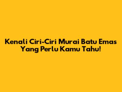 Kenali Ciri-Ciri Murai Batu Emas Yang Perlu Kamu Tahu!