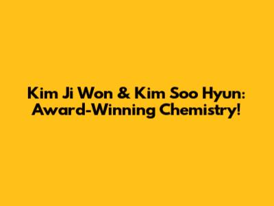 Kim Ji Won & Kim Soo Hyun: Award-Winning Chemistry!
