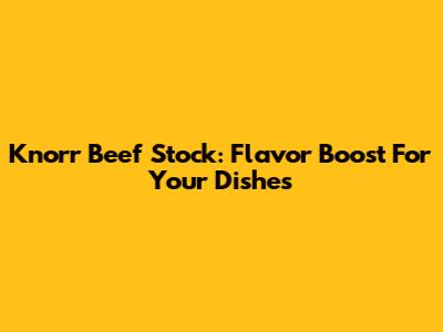 Knorr Beef Stock: Flavor Boost For Your Dishes