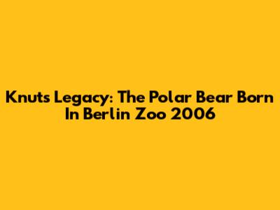 Knut's Legacy: The Polar Bear Born In Berlin Zoo 2006