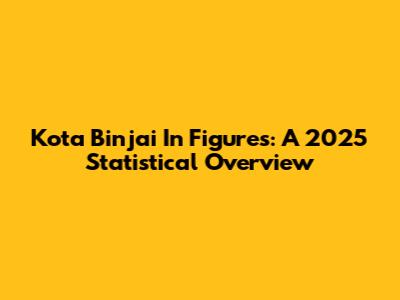 Kota Binjai In Figures: A 2025 Statistical Overview