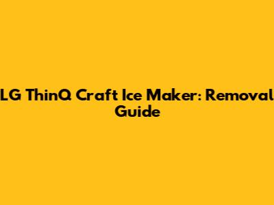 LG ThinQ Craft Ice Maker: Removal Guide