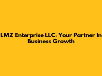LMZ Enterprise LLC: Your Partner In Business Growth