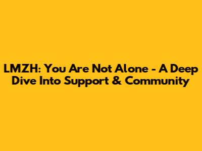 LMZH: You Are Not Alone - A Deep Dive Into Support & Community