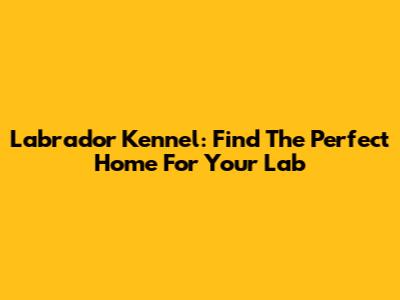 Labrador Kennel: Find The Perfect Home For Your Lab