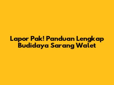 Lapor Pak! Panduan Lengkap Budidaya Sarang Walet