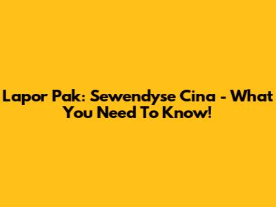 Lapor Pak: Sewendyse Cina - What You Need To Know!
