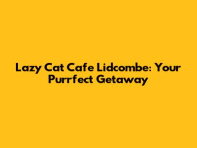 Lazy Cat Cafe Lidcombe: Your Purrfect Getaway
