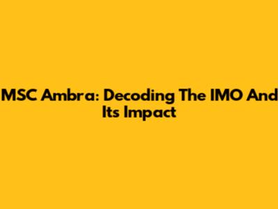 MSC Ambra: Decoding The IMO And Its Impact