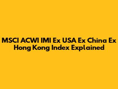 MSCI ACWI IMI Ex USA Ex China Ex Hong Kong Index Explained