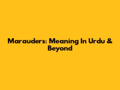 Marauders: Meaning In Urdu & Beyond