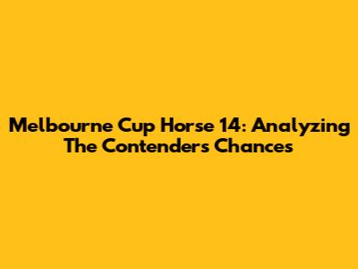 Melbourne Cup Horse 14: Analyzing The Contender's Chances
