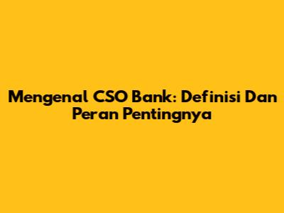 Mengenal CSO Bank: Definisi Dan Peran Pentingnya