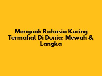 Menguak Rahasia Kucing Termahal Di Dunia: Mewah & Langka