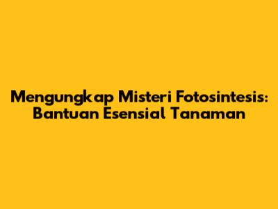 Mengungkap Misteri Fotosintesis: Bantuan Esensial Tanaman