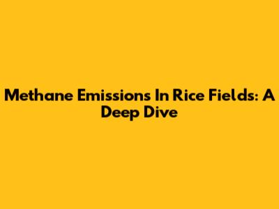 Methane Emissions In Rice Fields: A Deep Dive