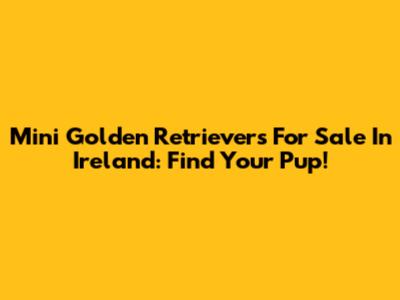 Mini Golden Retrievers For Sale In Ireland: Find Your Pup!