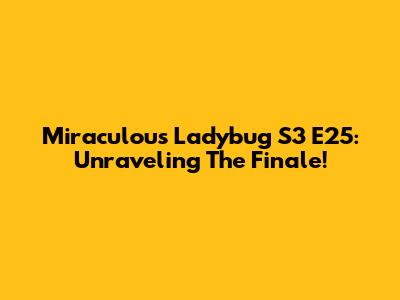 Miraculous Ladybug S3 E25: Unraveling The Finale!