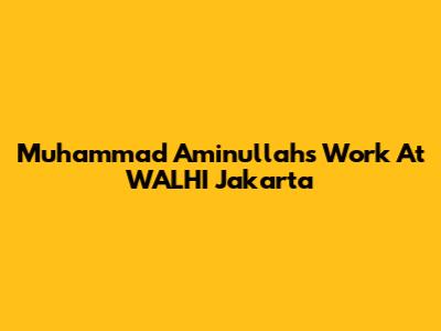 Muhammad Aminullah's Work At WALHI Jakarta