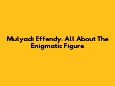 Mulyadi Effendy: All About The Enigmatic Figure