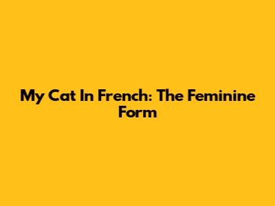 My Cat In French: The Feminine Form