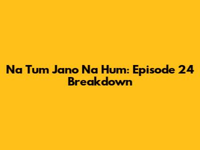 Na Tum Jano Na Hum: Episode 24 Breakdown