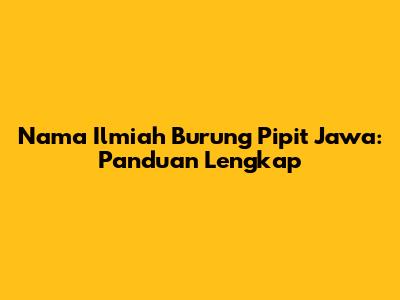 Nama Ilmiah Burung Pipit Jawa: Panduan Lengkap