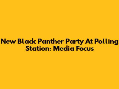 New Black Panther Party At Polling Station: Media Focus