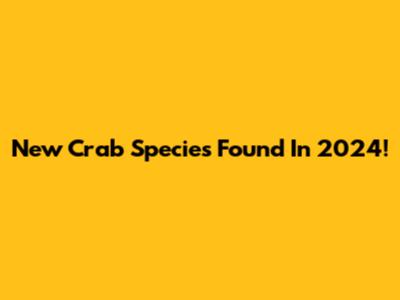 New Crab Species Found In 2024!